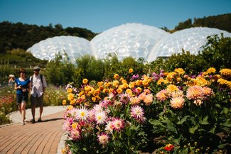 outdoor-biome-dahlias-couple-walking